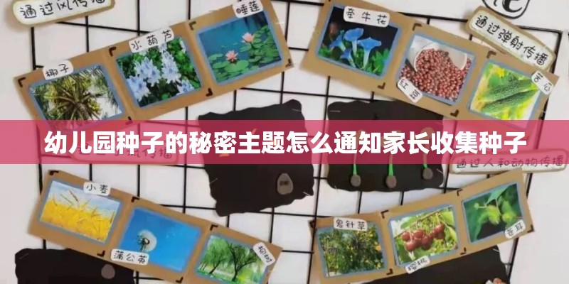 幼儿园种子的秘密主题怎么通知家长收集种子 幼儿园种子的秘密主题怎么通知家长收集种子
