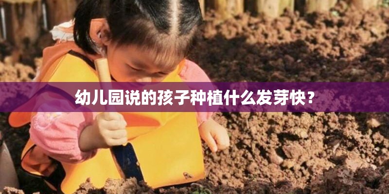幼儿园说的孩子种植什么发芽快? 幼儿园说的孩子种植什么发芽快?