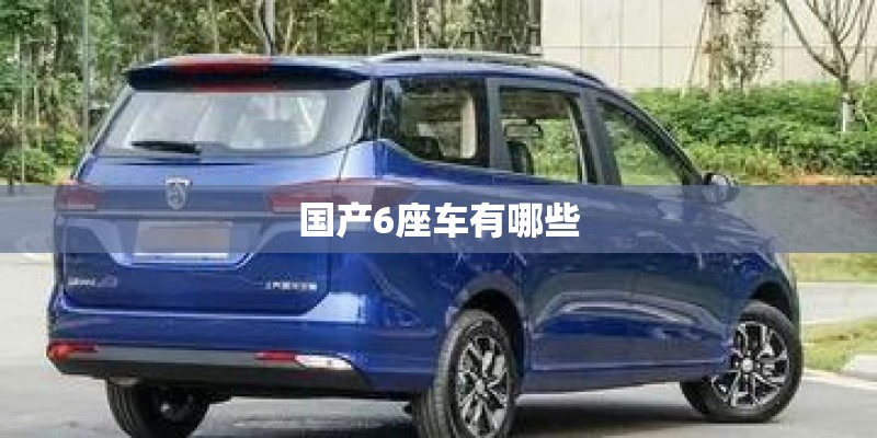国产6座车有哪些 国产6座车有哪些