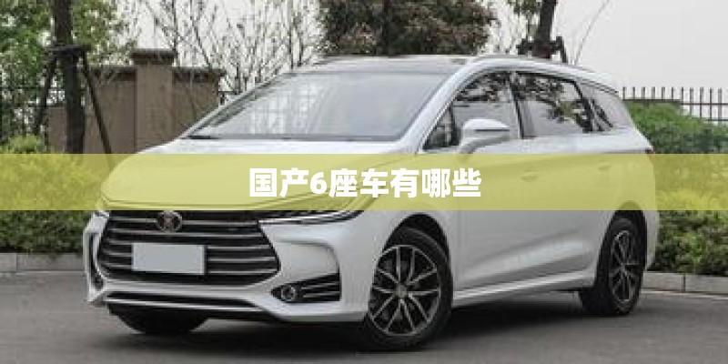 国产6座车有哪些 国产6座车有哪些