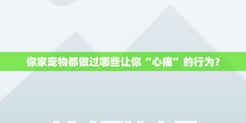 你家宠物都做过哪些让你“心痛”的行为? 你家宠物都做过哪些让你“心痛”的行为?