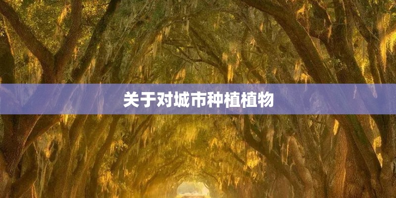 关于对城市种植植物