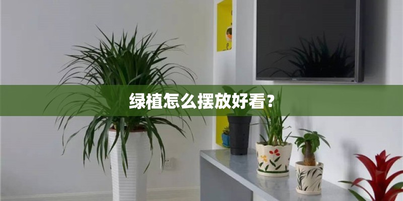 绿植怎么摆放好看? 绿植怎么摆放好看?