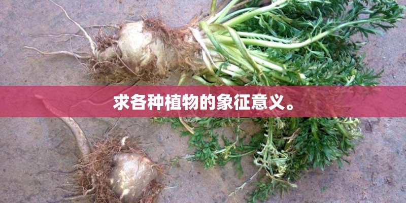 求各种植物的象征意义。 求各种植物的象征意义。