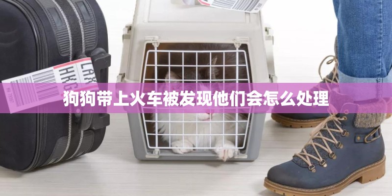 德国牧羊犬生完狗狗后还流血怎么回事