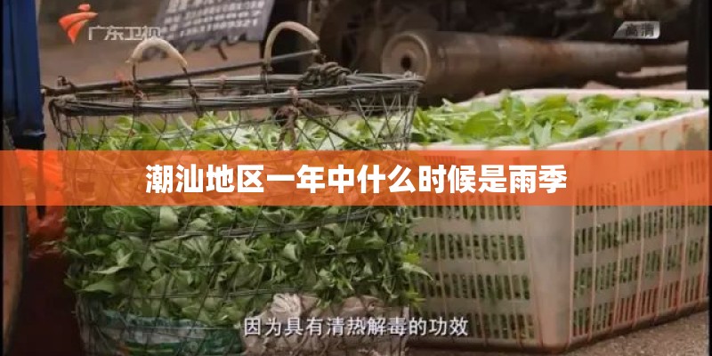 潮汕地区一年中什么时候是雨季 潮汕地区一年中什么时候是雨季