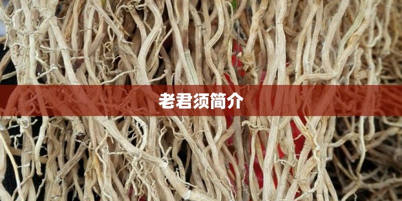 老君须简介 老君须简介