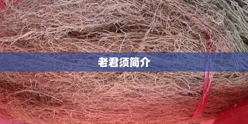 老君须简介 老君须简介