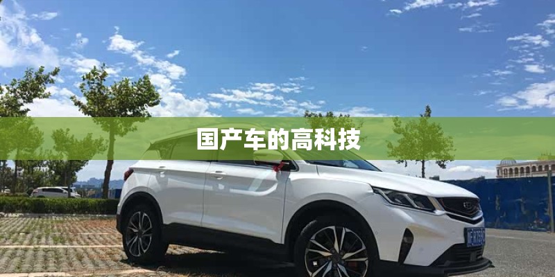 国产车的高科技 国产车的高科技
