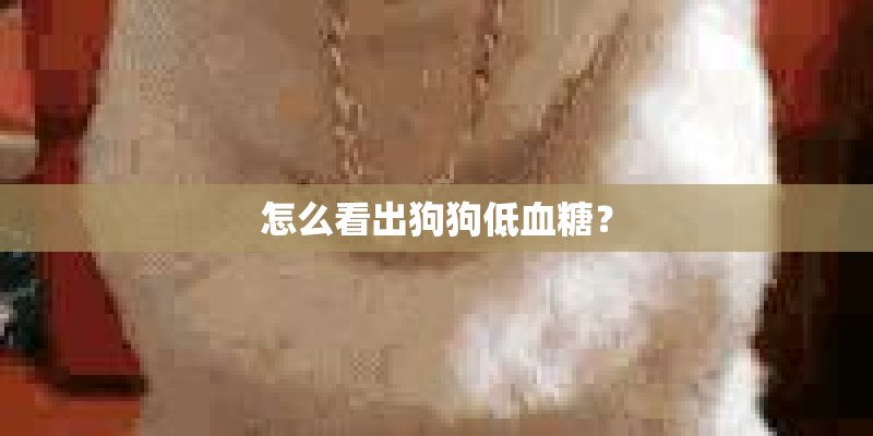 怎么看出狗狗低血糖？