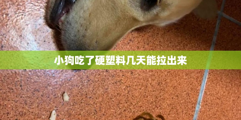 小狗吃了硬塑料几天能拉出来 小狗吃了硬塑料几天能拉出来
