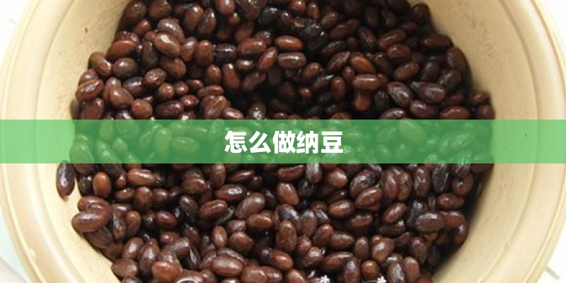 怎么做纳豆