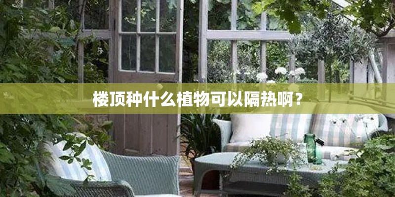 楼顶种什么植物可以隔热啊? 楼顶种什么植物可以隔热啊?