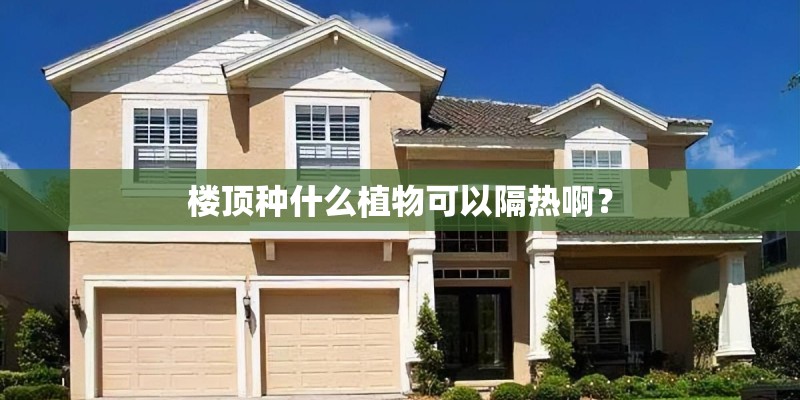 楼顶种什么植物可以隔热啊? 楼顶种什么植物可以隔热啊?
