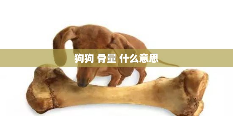狗狗 骨量 什么意思 狗狗 骨量 什么意思