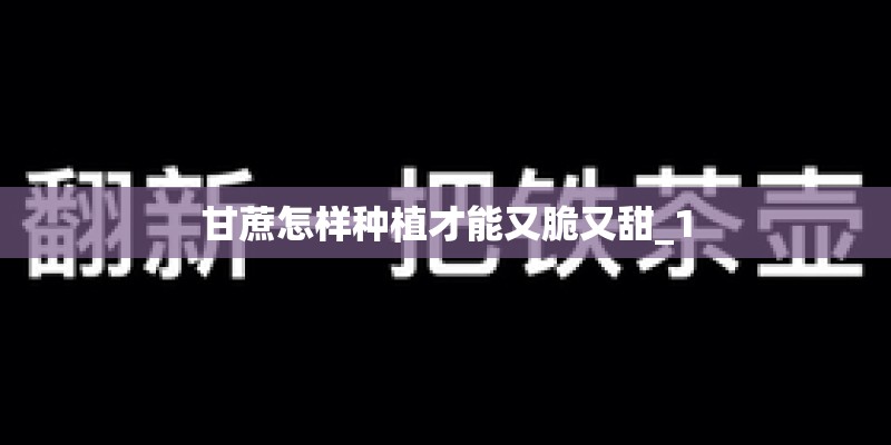 甘蔗怎样种植才能又脆又甜_1 甘蔗怎样种植才能又脆又甜_1