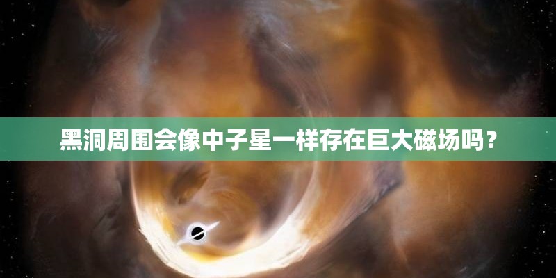 黑洞周围会像中子星一样存在巨大磁场吗？
