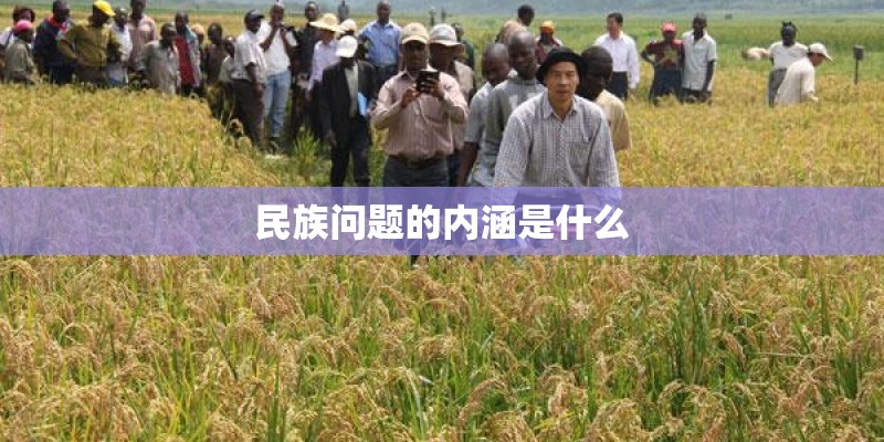 民族问题的内涵是什么 民族问题的内涵是什么