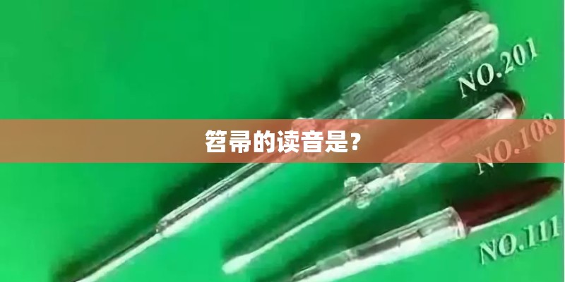 笤帚的读音是? 笤帚的读音是?