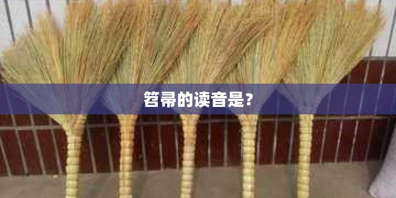 笤帚的读音是? 笤帚的读音是?