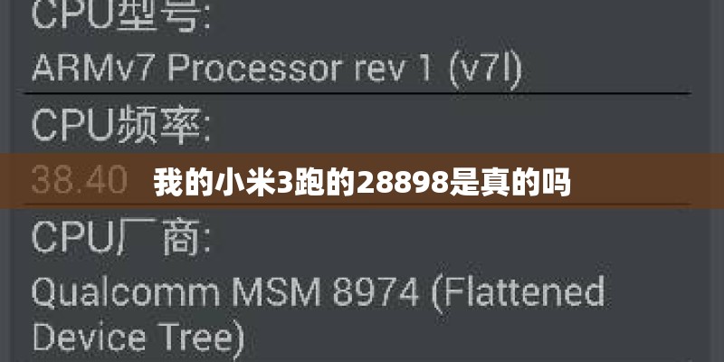 我的小米3跑的28898是真的吗 我的小米3跑的28898是真的吗