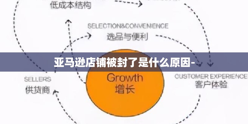 亚马逊店铺被封了是什么原因- 亚马逊店铺被封了是什么原因-