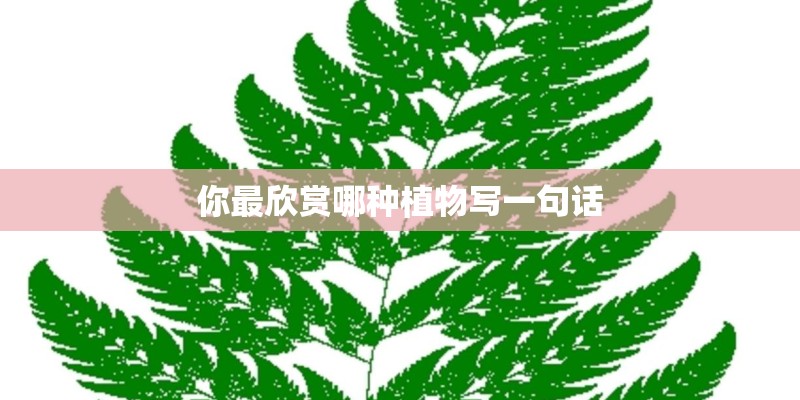 你最欣赏哪种植物写一句话 你最欣赏哪种植物写一句话