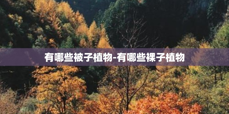 有哪些被子植物-有哪些裸子植物 有哪些被子植物-有哪些裸子植物
