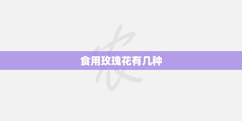 食用玫瑰花有几种 食用玫瑰花有几种