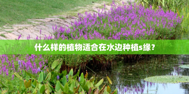 什么样的植物适合在水边种植s缘？